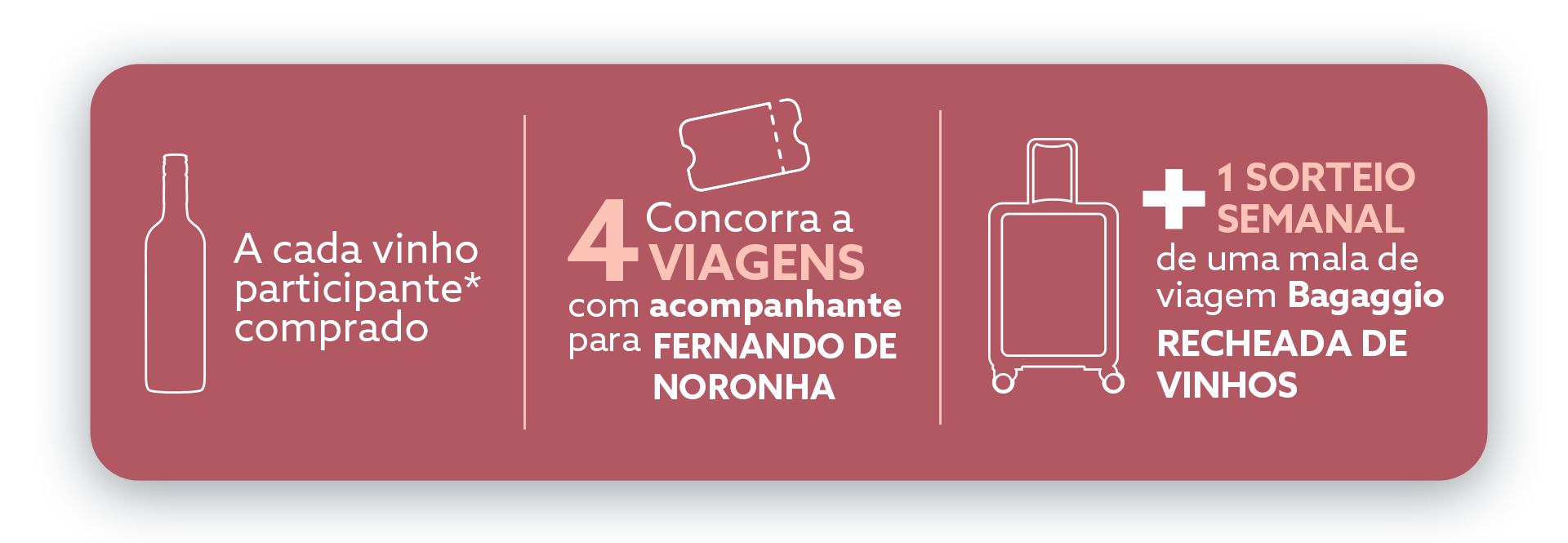 Como Participar da Promoção Casillero del Diablo